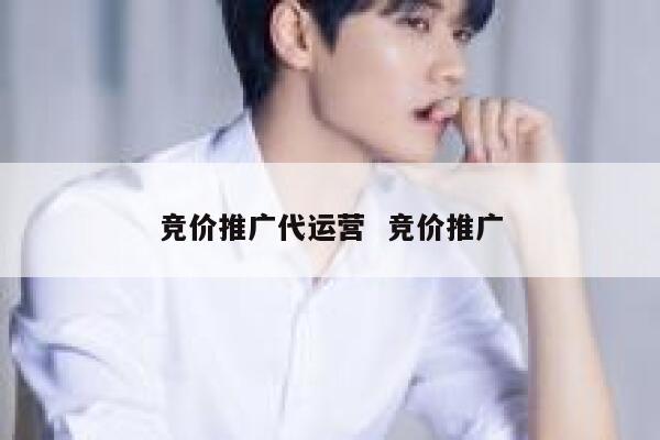 竞价推广代运营 竞价推广