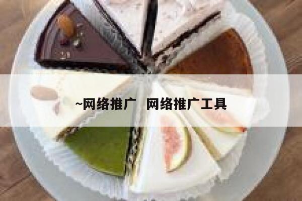 ~网络推广  网络推广工具