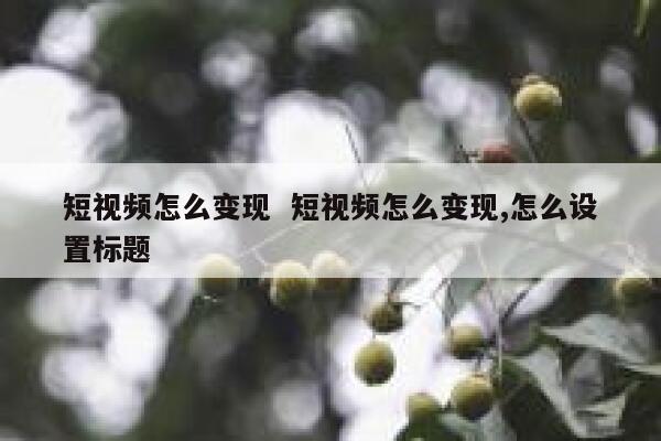短视频怎么变现 短视频怎么变现,怎么设置标题