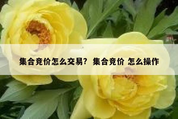 集合竞价怎么交易?  集合竞价 怎么操作