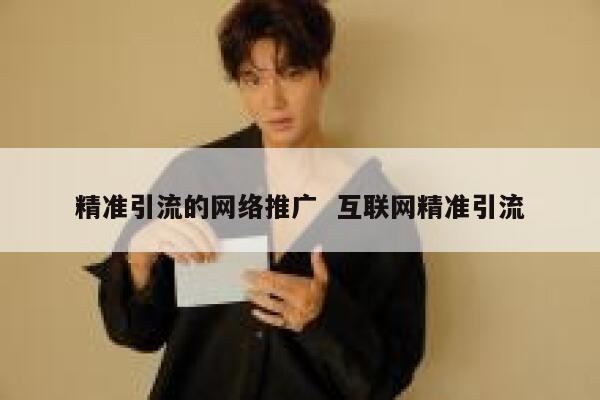 精准引流的网络推广  互联网精准引流