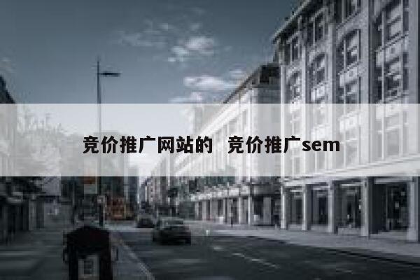 竞价推广网站的  竞价推广sem