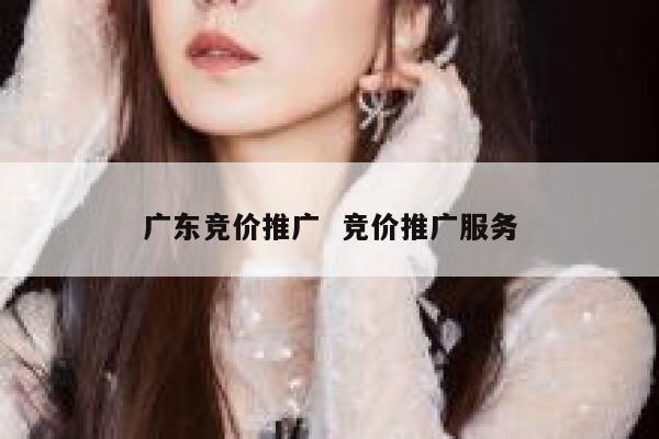 广东竞价推广  竞价推广服务