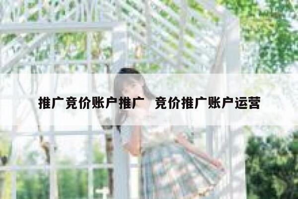 推广竞价账户推广  竞价推广账户运营