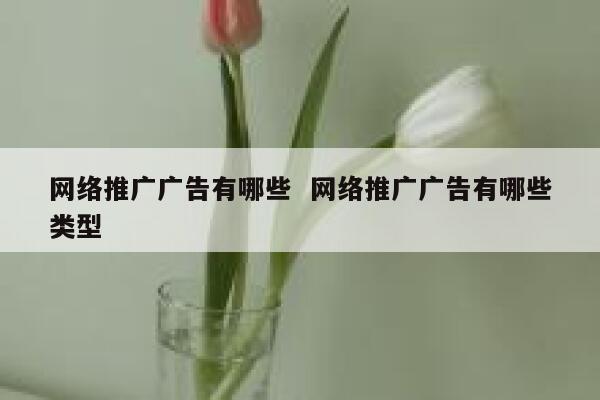 网络推广广告有哪些  网络推广广告有哪些类型