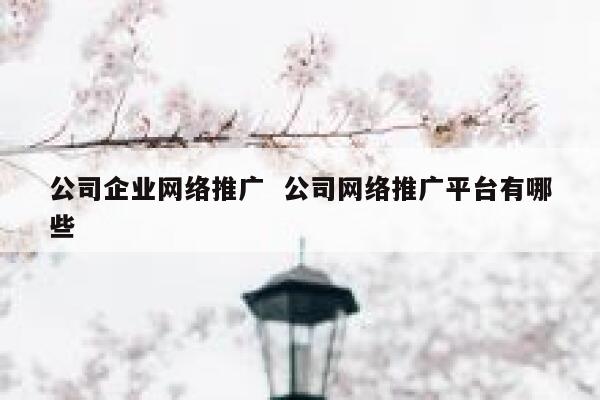 公司企业网络推广  公司网络推广平台有哪些 第1张