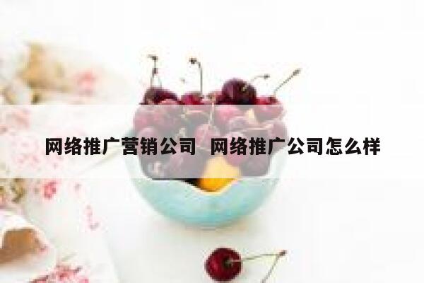 网络推广营销公司  网络推广公司怎么样