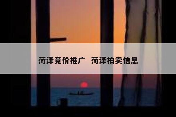 菏泽竞价推广  菏泽拍卖信息