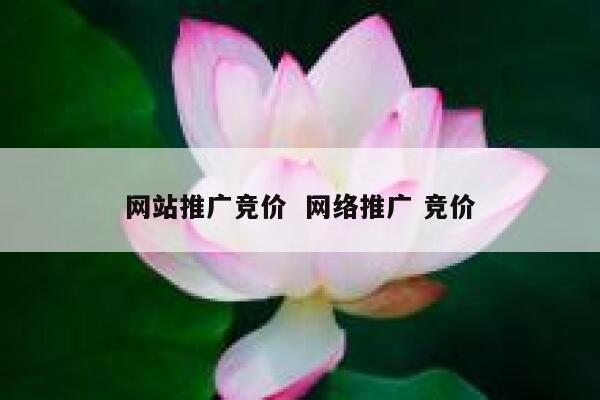 网站推广竞价  网络推广 竞价