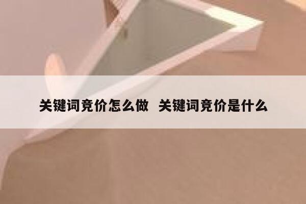 关键词竞价怎么做  关键词竞价是什么 第1张