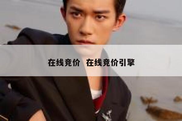 在线竞价  在线竞价引擎