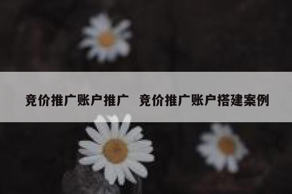 竞价推广账户推广  竞价推广账户搭建案例