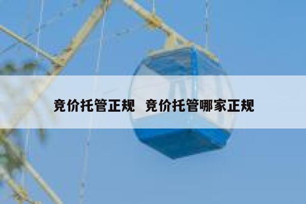 竞价托管正规  竞价托管哪家正规