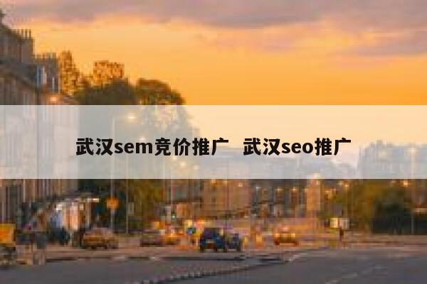 武汉sem竞价推广  武汉seo推广
