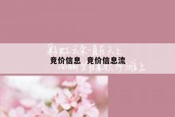 竞价信息  竞价信息流