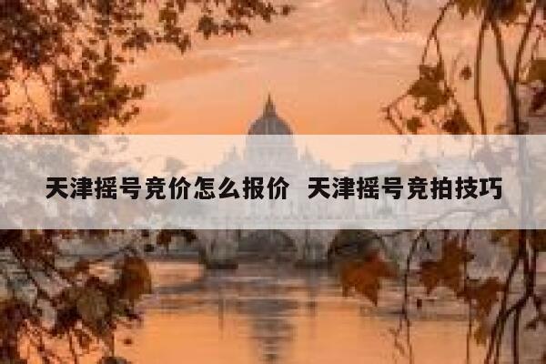 天津摇号竞价怎么报价  天津摇号竞拍技巧