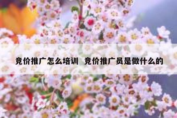 竞价推广怎么培训  竞价推广员是做什么的