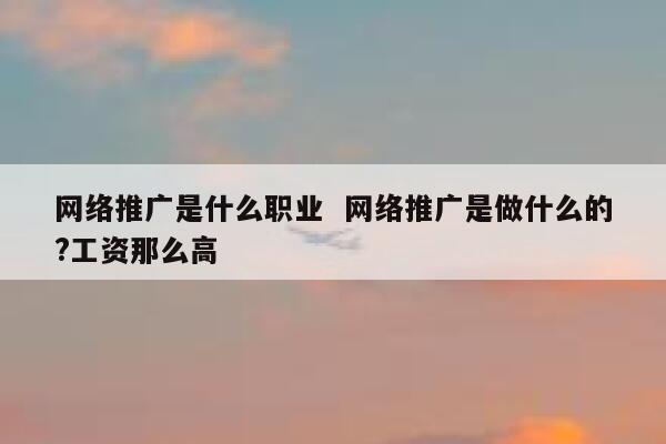 网络推广是什么职业  网络推广是做什么的?工资那么高 第1张