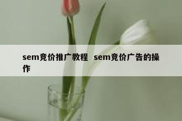 sem竞价推广教程  sem竞价广告的操作
