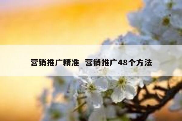 营销推广精准  营销推广48个方法