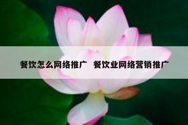 餐饮怎么网络推广  餐饮业网络营销推广