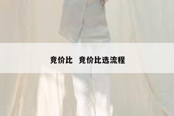 竞价比  竞价比选流程