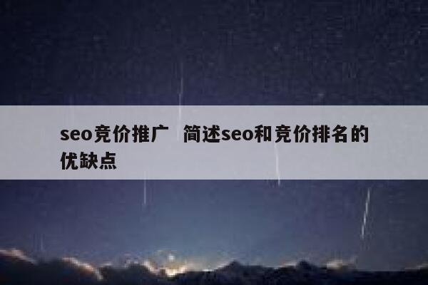 seo竞价推广  简述seo和竞价排名的优缺点