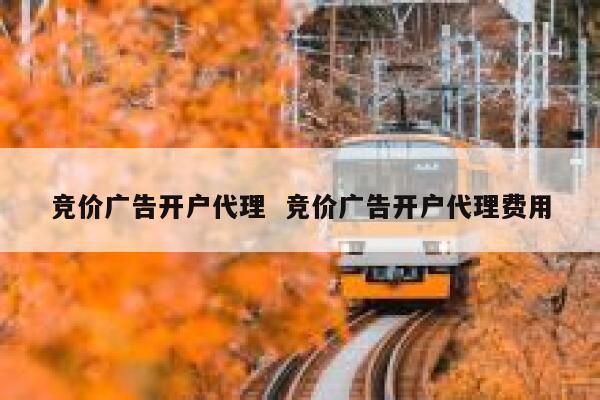 竞价广告开户代理  竞价广告开户代理费用