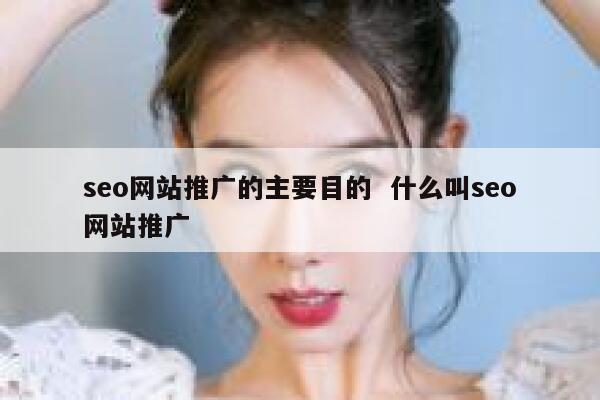 seo网站推广的主要目的  什么叫seo网站推广