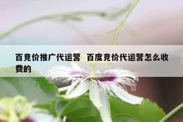 百竞价推广代运营  百度竞价代运营怎么收费的