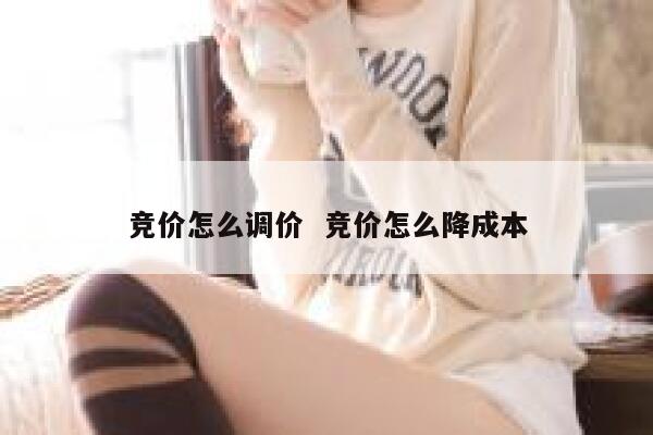 竞价怎么调价  竞价怎么降成本