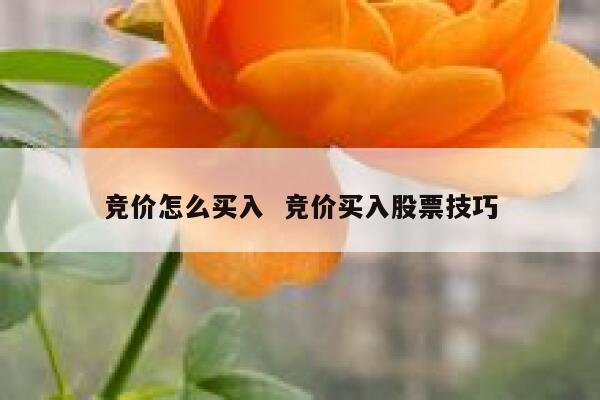 竞价怎么买入  竞价买入股票技巧