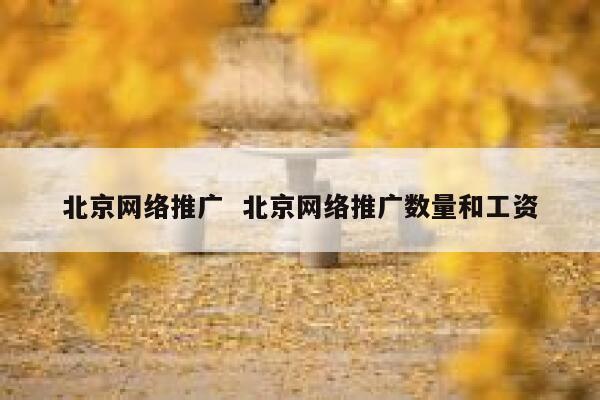 北京网络推广  北京网络推广数量和工资