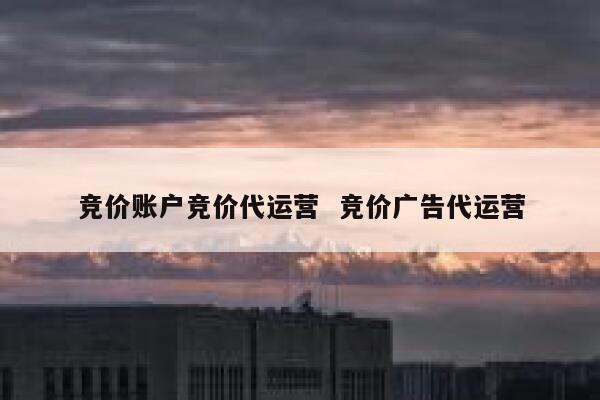 竞价账户竞价代运营  竞价广告代运营
