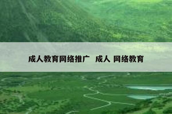 成人教育网络推广  成人 网络教育
