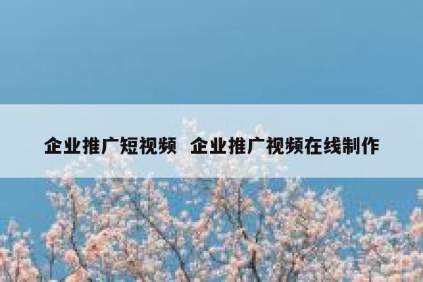 企业推广短视频  企业推广视频在线制作