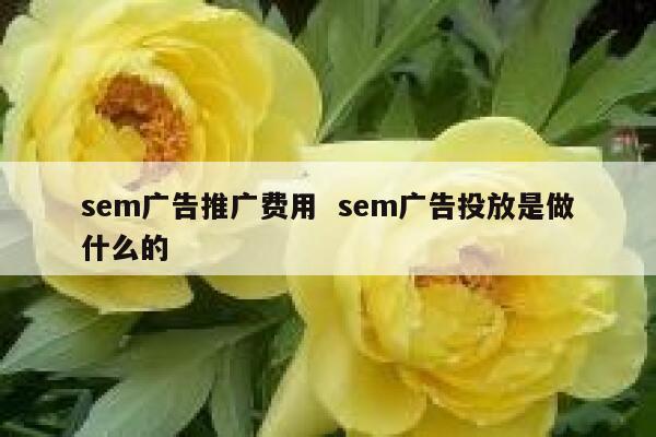 sem广告推广费用  sem广告投放是做什么的