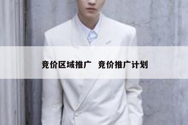 竞价区域推广  竞价推广计划