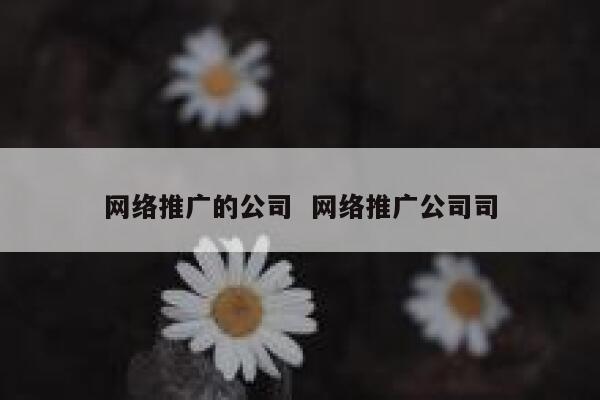 网络推广的公司  网络推广公司司