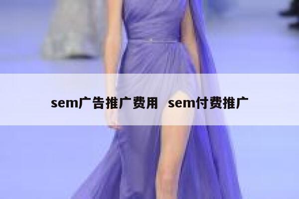 sem广告推广费用  sem付费推广
