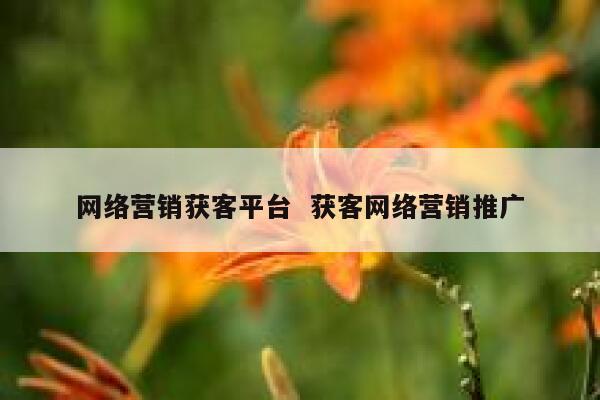 网络营销获客平台  获客网络营销推广