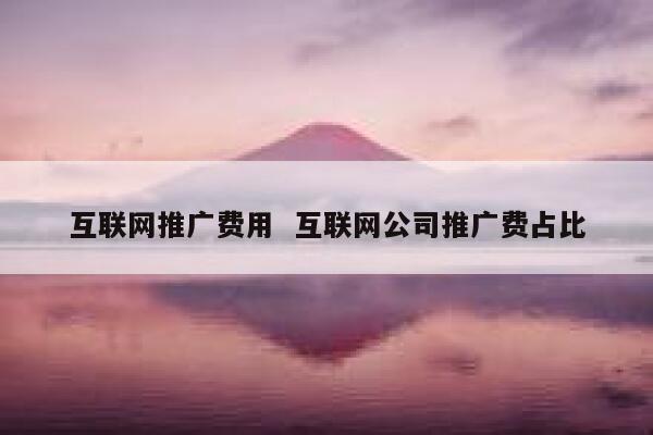 互联网推广费用  互联网公司推广费占比