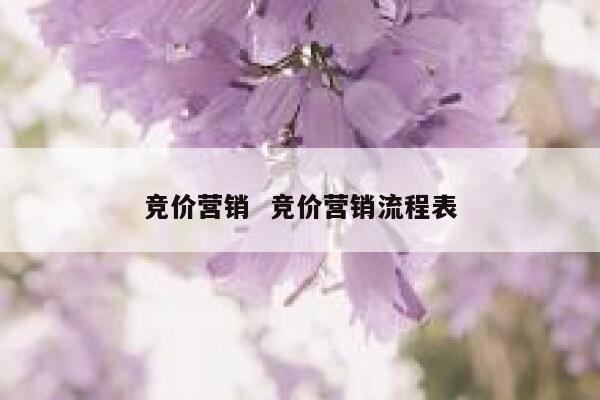 竞价营销  竞价营销流程表