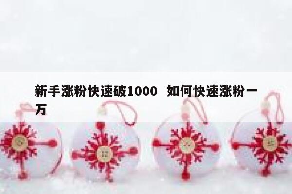 新手涨粉快速破1000  如何快速涨粉一万