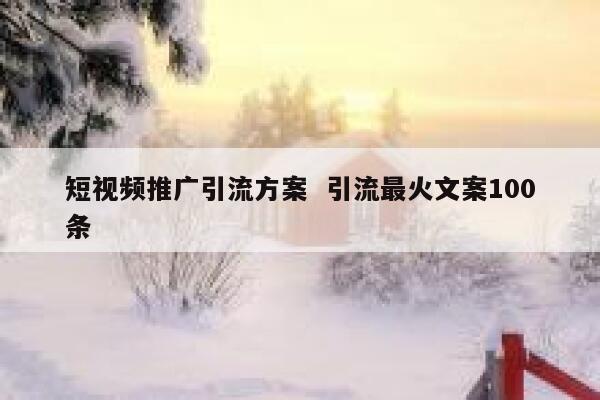 短视频推广引流方案  引流最火文案100条