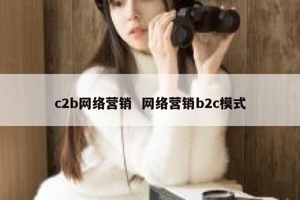 c2b网络营销  网络营销b2c模式