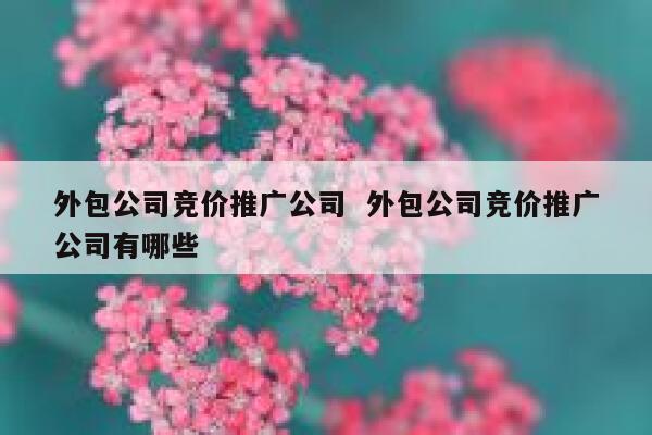 外包公司竞价推广公司  外包公司竞价推广公司有哪些