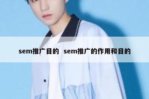 sem推广目的  sem推广的作用和目的