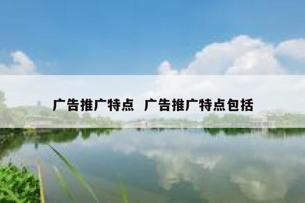 广告推广特点  广告推广特点包括