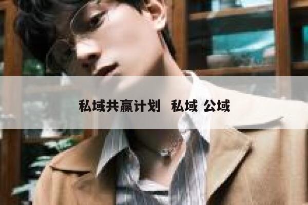 私域共赢计划  私域 公域